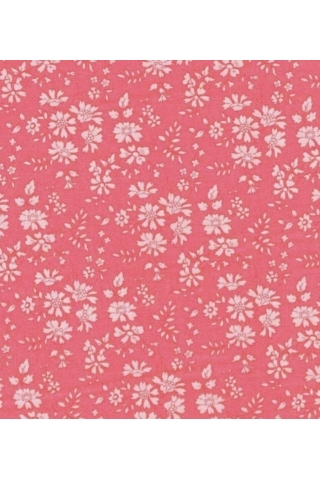 Capel Corail Do it yourself - JFZ